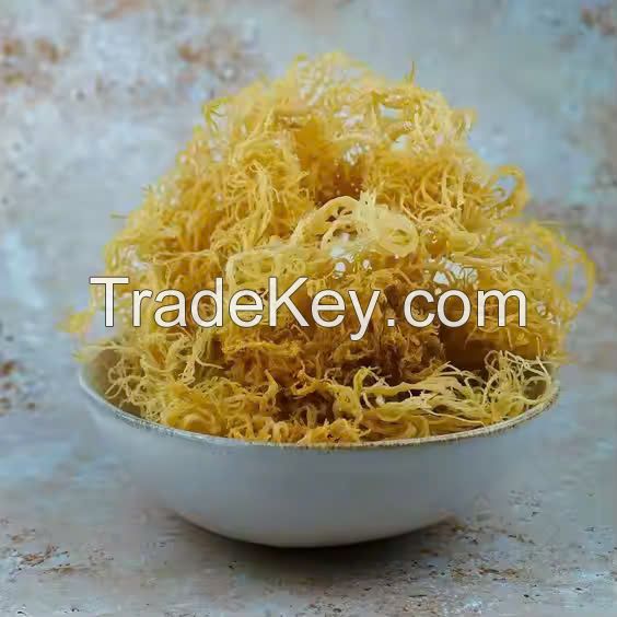 WILD-HARVESTED GOLD SEAMOSS / NATUREÃ¢ï¿½ï¿½S TREASURE / MADE IN VIETNAM