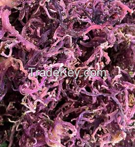 GOLD & PURPLE SEA MOSS / VIETNAMESE DRIED SEAWEED, AVAILABLE WITH OR WITHOUT SALT / MADE IN VIETNAM