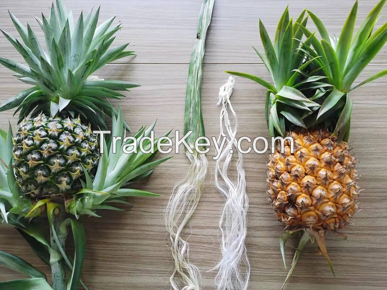 PREMIUM PINEAPPLE LEAF FIBER / SUSTAINABLE MATERIAL / MADE IN VIETNAM