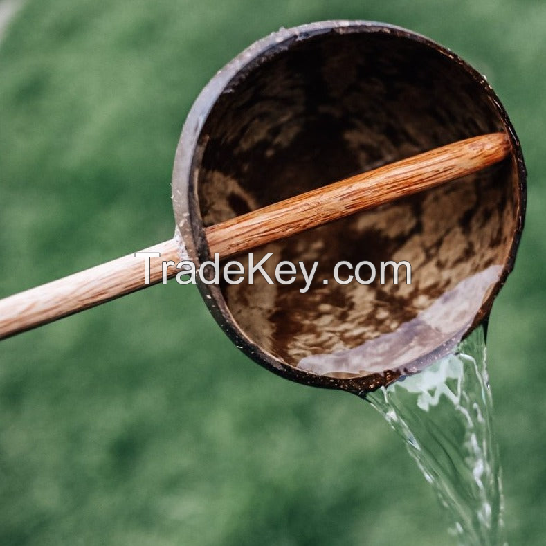 NATURAL COCONUT WATER SCOOP / HANDCRAFTED FROM COCONUT SHELLS / MADE IN VIETNAM