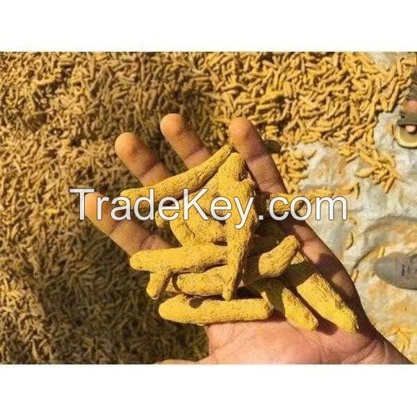 HIGH-QUALITY TURMERIC FINGER / RICH IN CURCUMIN / MADE IN VIETNAM