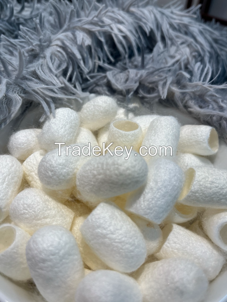 NATURAL SILK COCOON / PURE AND UNPROCESSED / MADE IN VIETNAM