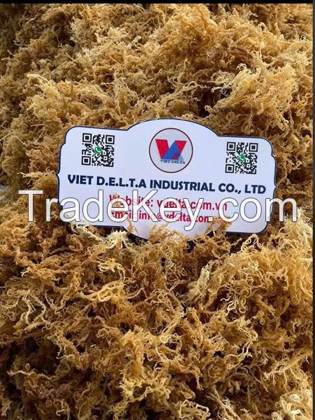 ORGANIC DRIED SEAMOSS / ECO-FRIENDLY & MULTI-PURPOSE / LOW-COST BULK SUPPLY / MADE IN VIETNAM 