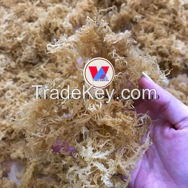 ORGANIC DRIED SEAMOSS / ECO-FRIENDLY & MULTI-PURPOSE / LOW-COST BULK SUPPLY / MADE IN VIETNAM 