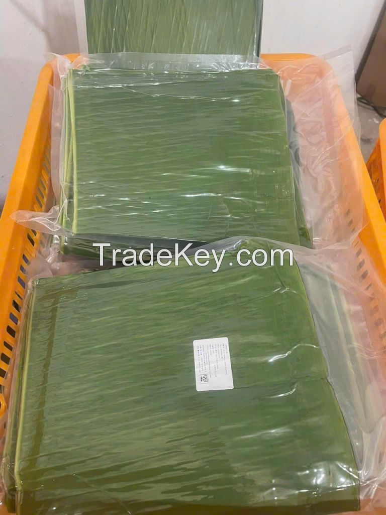 FRESH BANANA LEAVES / PREMIUM QUALITY / MULTI-PURPOSE USE / NATURAL & SUSTAINABLE