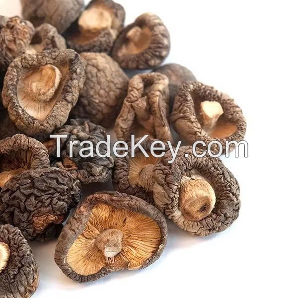 RICH AND EARTHY SHIITAKE MUSHROOMS / FAMILY RECIPE / AFFORDABLE VALUE / MADE IN VIETNAM