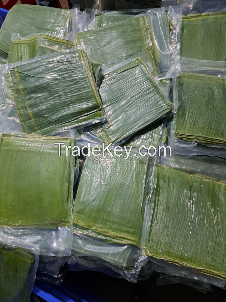 FRESH BANANA LEAVES / PREMIUM QUALITY / MULTI-PURPOSE USE / NATURAL & SUSTAINABLE