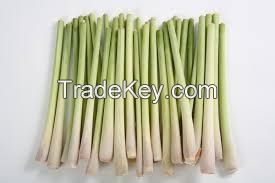 CRISP AND AROMATIC FRESH LEMONGRASS / FAMILY RECIPE / AFFORDABLE VALUE / MADE IN VIETNAM