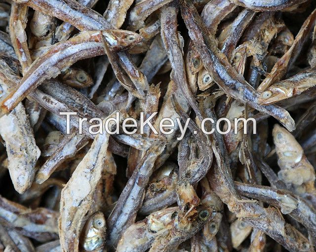 FRESHLY DRIED FISH DELIGHT / TIME-HONORED RECIPE / PERFECT SNACK / MADE IN VIETNAM