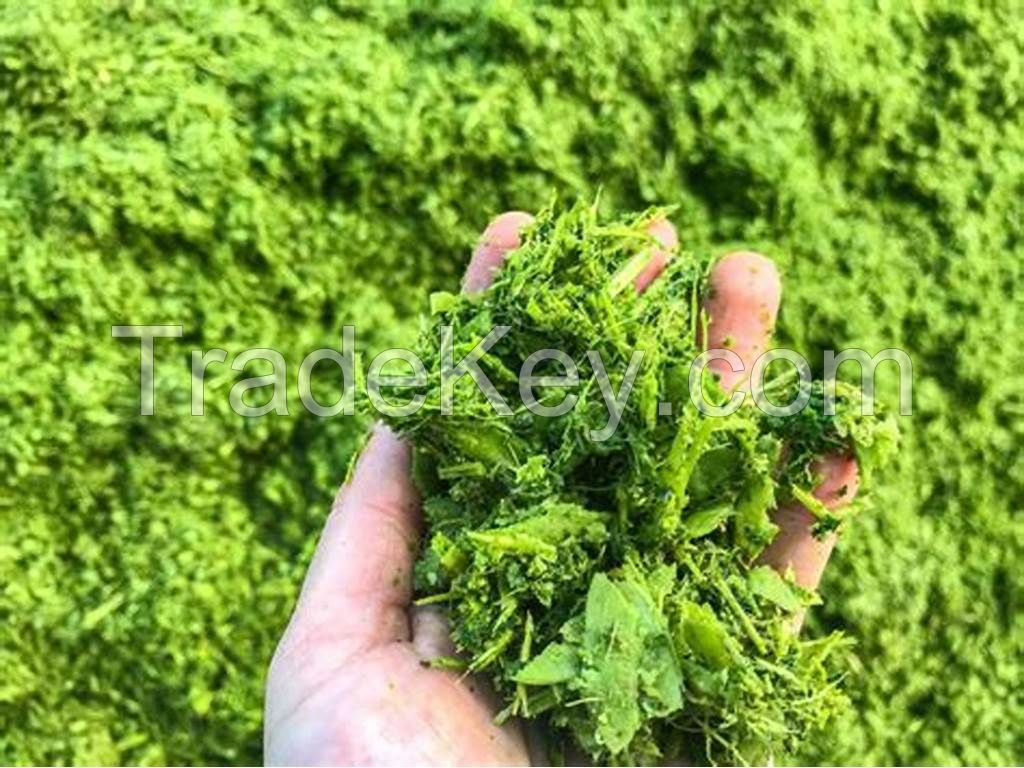 Top-Quality Ground Tapioca Leaves / Family Recipe / Great Taste / Vietnamese Origin