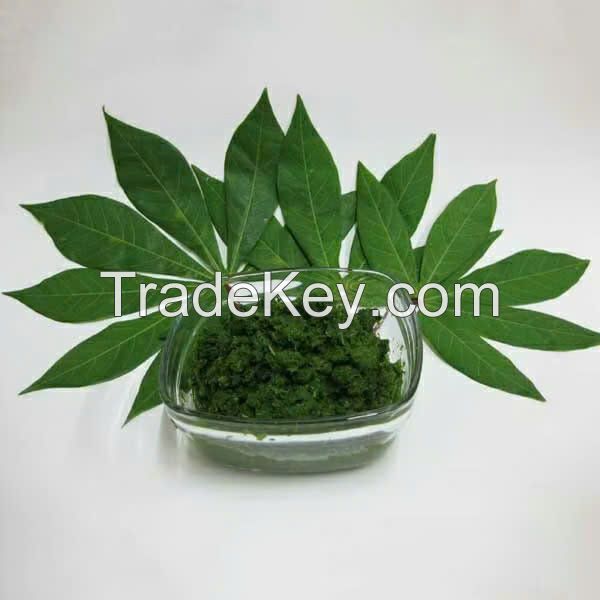 Top-Quality Ground Tapioca Leaves / Family Recipe / Great Taste / Vietnamese Origin