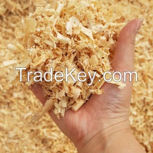 CLEAN AND PURE SAWDUST FOR CRAFTING & DECORATION / FINE AND SOFT TEXTURE / ECONOMICAL CHOICE / MADE IN VIETNAM