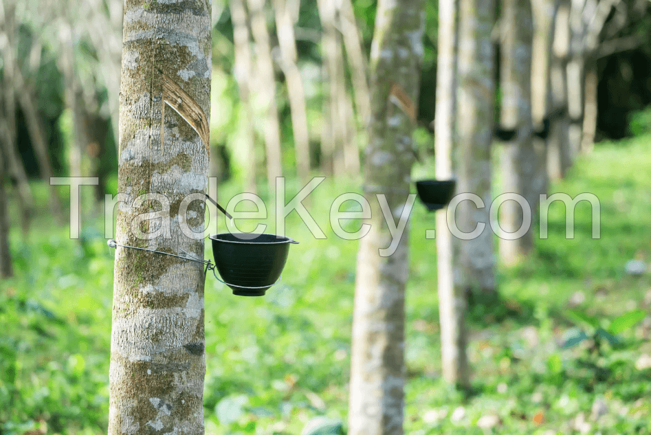 PURE AND RELIABLE NATURAL LATEX RUBBER / IDEAL FOR CUSTOM APPLICATIONS / EXCEPTIONAL DURABILITY / MADE IN VIETNAM