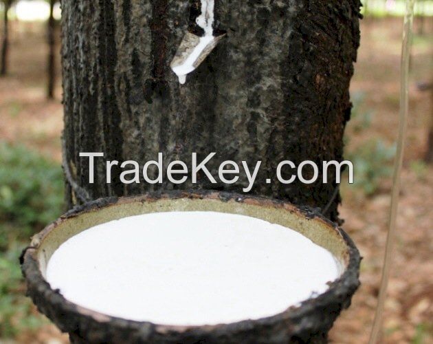 PURE AND RELIABLE NATURAL LATEX RUBBER / IDEAL FOR CUSTOM APPLICATIONS / EXCEPTIONAL DURABILITY / MADE IN VIETNAM