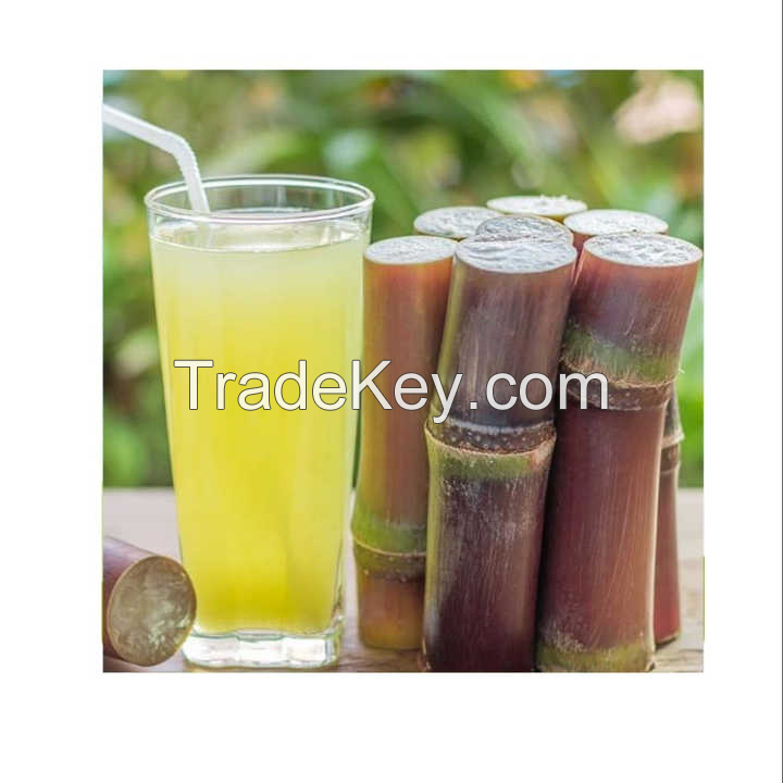 CRISP AND SWEET FROZEN SUGARCANE JUICE / AUTHENTIC TASTE / BULK DEALS / MADE IN VIETNAM