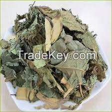 ORGANIC DRIED CELASTRUS HINDSII HERB / FINEST HERBAL SUPPLEMENT / BUDGET-FRIENDLY DEAL / VIETNAM HARVEST