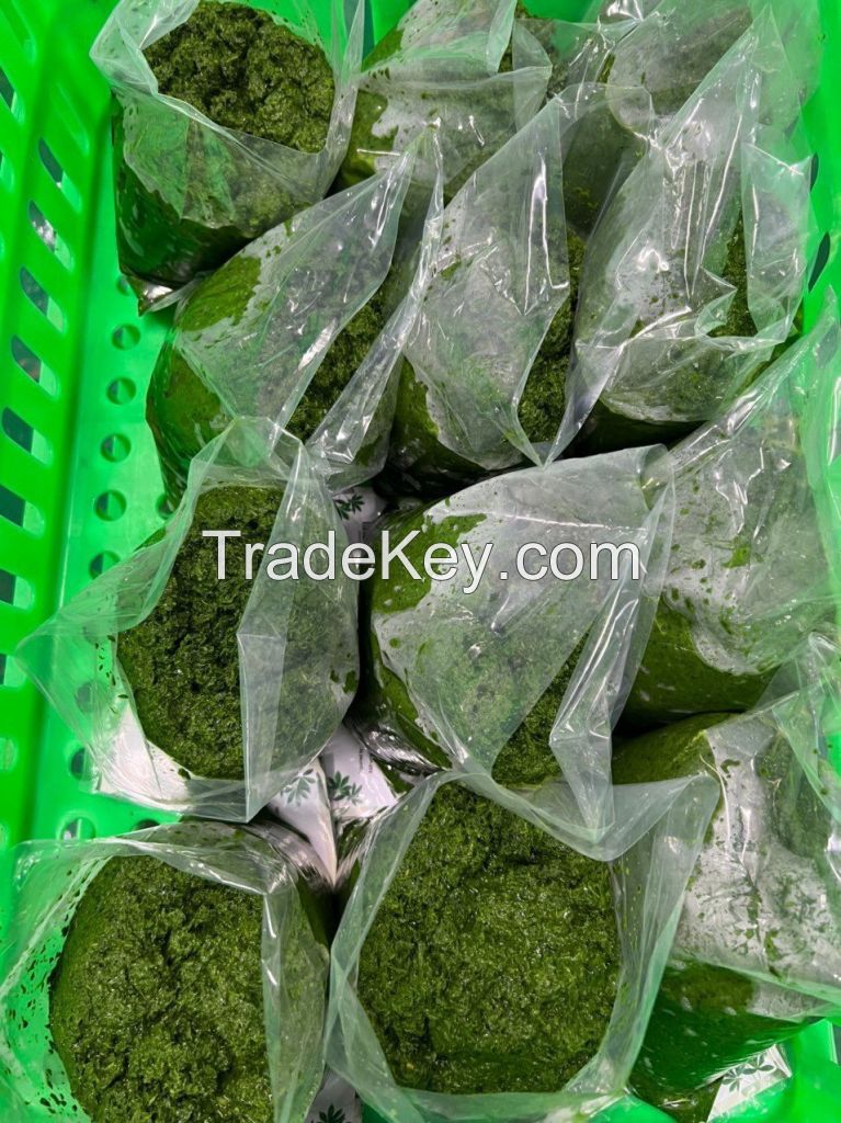 VIBRANT AND FLAVORFUL FROZEN CASSAVA LEAVES / TRADITIONAL FLAVORS / GREAT PRICE / MADE IN VIETNAM