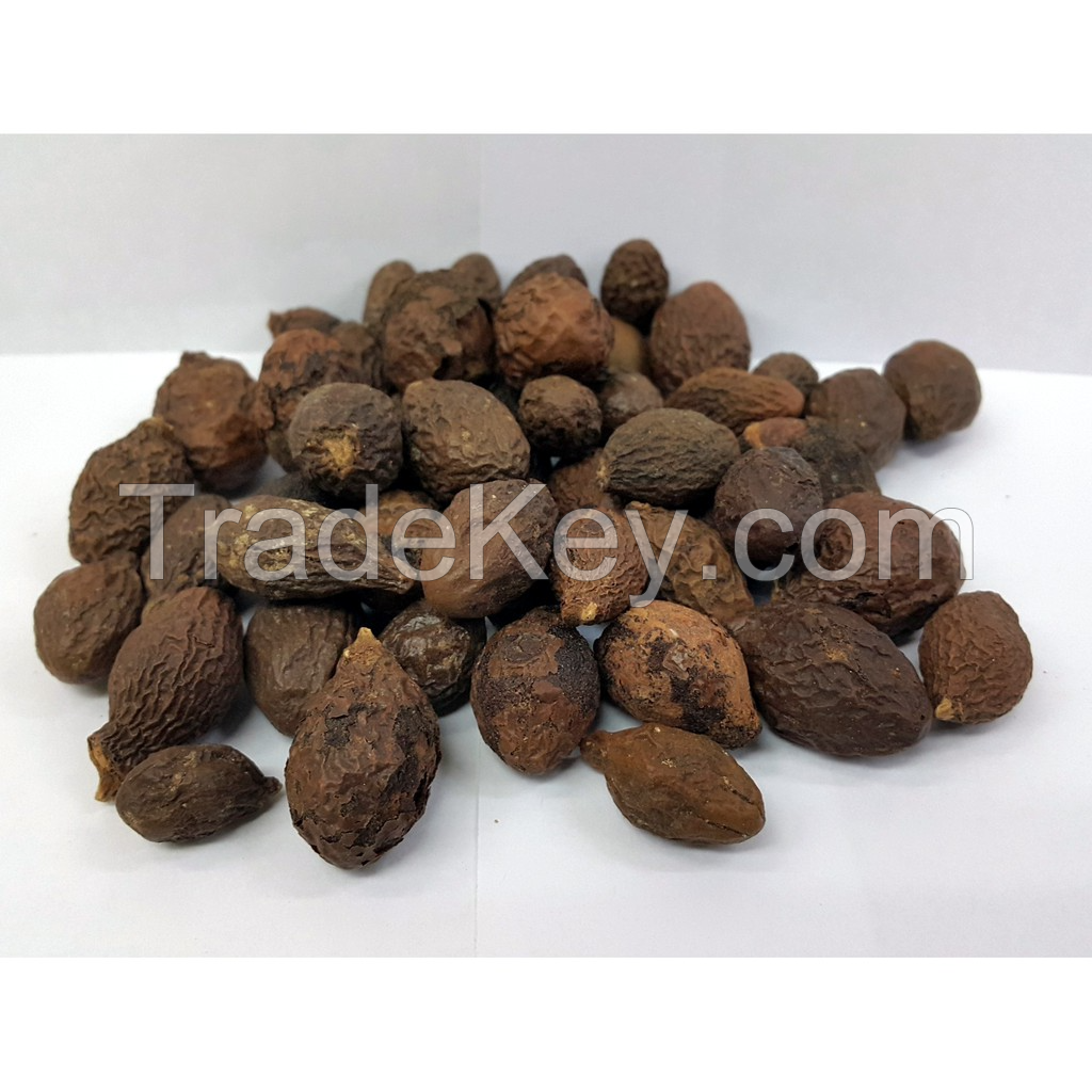 FRESH & NUTRITIOUS RAW MALVA NUTS / FAMILY RECIPE / AFFORDABLE VALUE / MADE IN VIETNAM