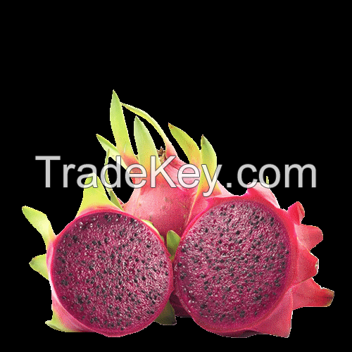 VIBRANT AND SWEET DRAGON FRUIT PUREE / TROPICAL ESSENCE / NATURAL GOODNESS / MADE IN VIETNAM