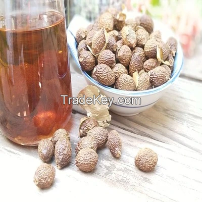 FRESH & NUTRITIOUS RAW MALVA NUTS / FAMILY RECIPE / AFFORDABLE VALUE / MADE IN VIETNAM