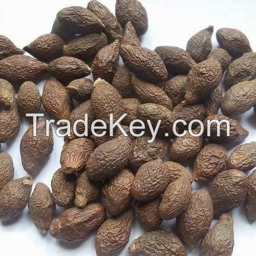 FRESH & NUTRITIOUS RAW MALVA NUTS / FAMILY RECIPE / AFFORDABLE VALUE / MADE IN VIETNAM