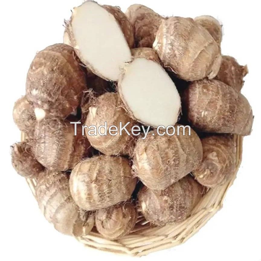 FROZEN TARO ROOT/ PREMIUM FRESH FROZEN TARO/ HIGH-QUALITY TARO FROM VIETNAM