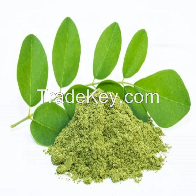 ORGANIC SOURCE, PREMIUM MORINGA LEAF POWDER RICH IN NUTRIENTS AS PERFECT DAILY SUPPLEMENT FOR VITALITY