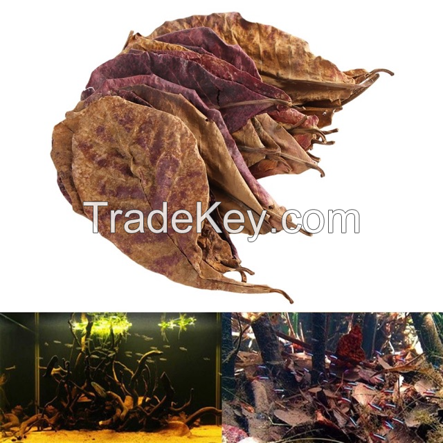 NATURAL TERMINALIA CATAPPA / FISH DISEASE PREVENTION / WATER CONDITIONER / CLEAN LABEL