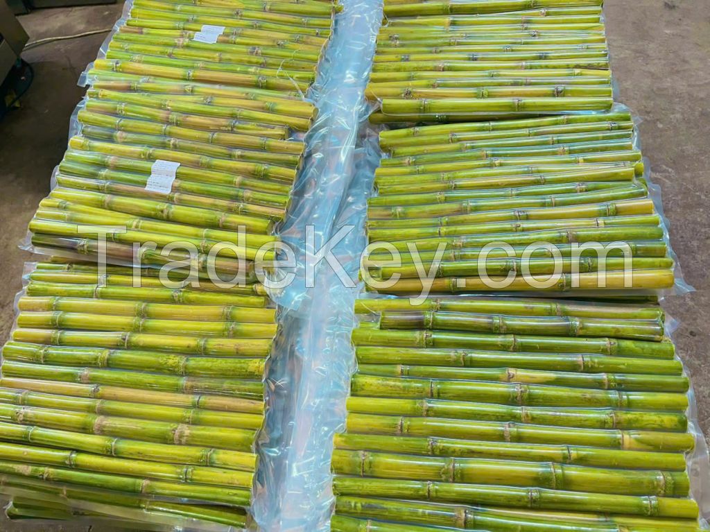 FRESH GREEN SUGARCANE / HYDRATION SUPPORT / CLEAN LABEL / NON-GMO