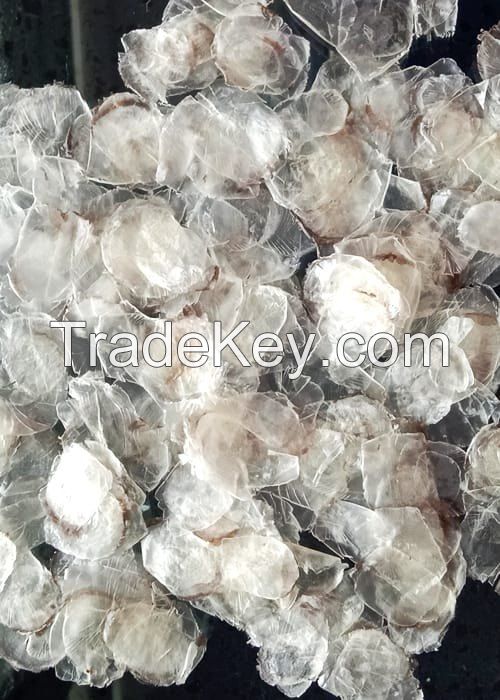 PURE FISH OSSEIN / COLLAGEN SOURCE / CLEAN LABEL / BIOAVAILABLE