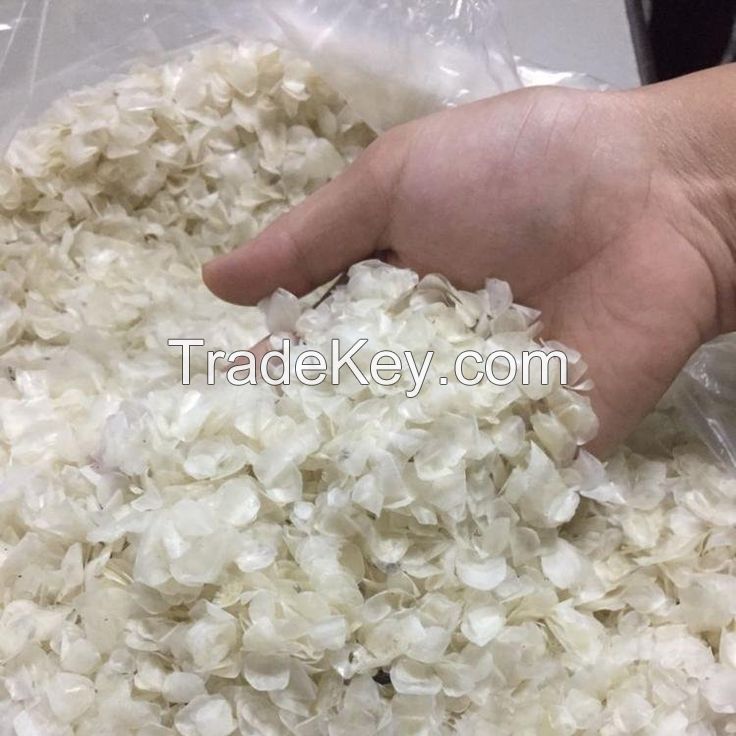 PURE FISH OSSEIN / COLLAGEN SOURCE / CLEAN LABEL / BIOAVAILABLE