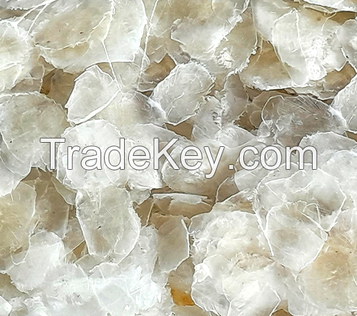 PURE FISH OSSEIN / COLLAGEN SOURCE / CLEAN LABEL / BIOAVAILABLE