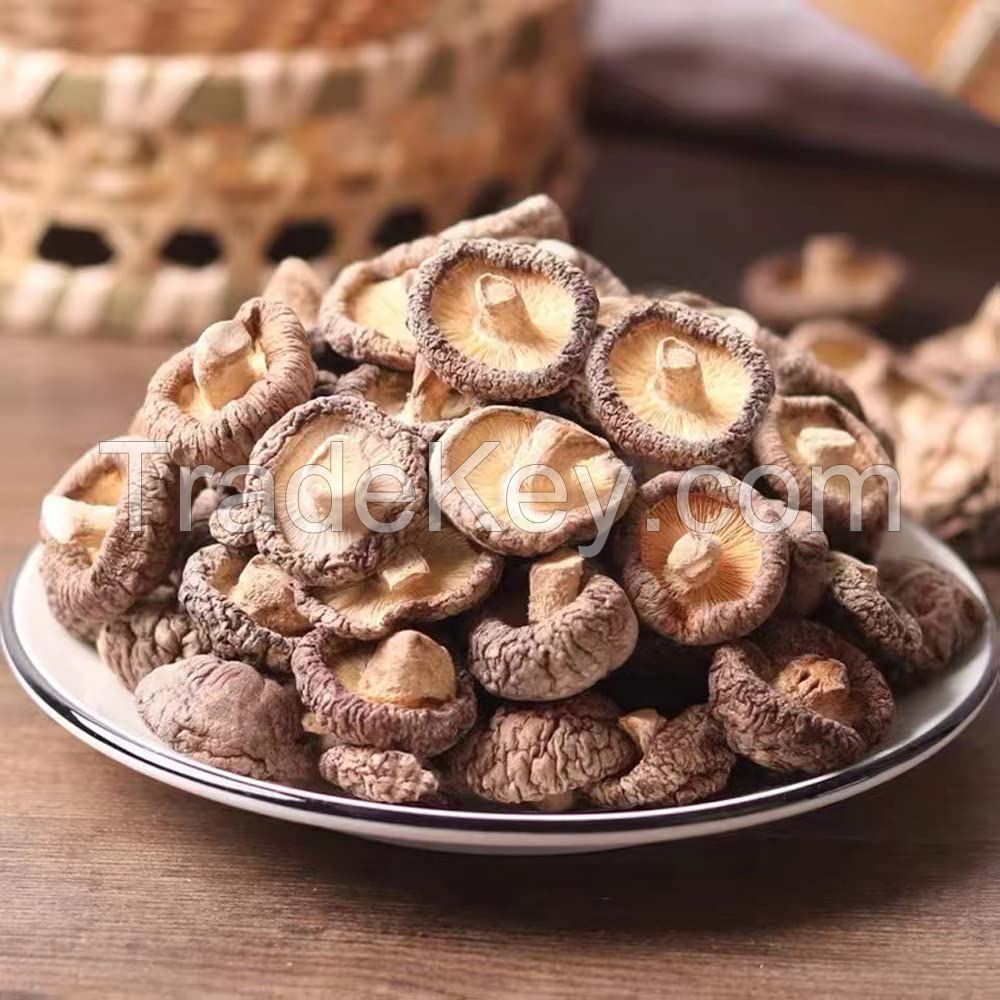 SUN-DRIED SHIITAKE / DAILY WELLNESS / CLEAN LABEL / MUSHROOM POWER
