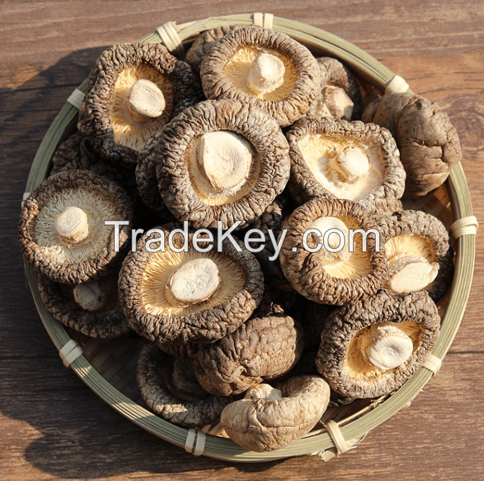 PREMIUM SHIITAKE SLICES / IMMUNE BOOST / CLEAN LABEL / WHOLE PLANT