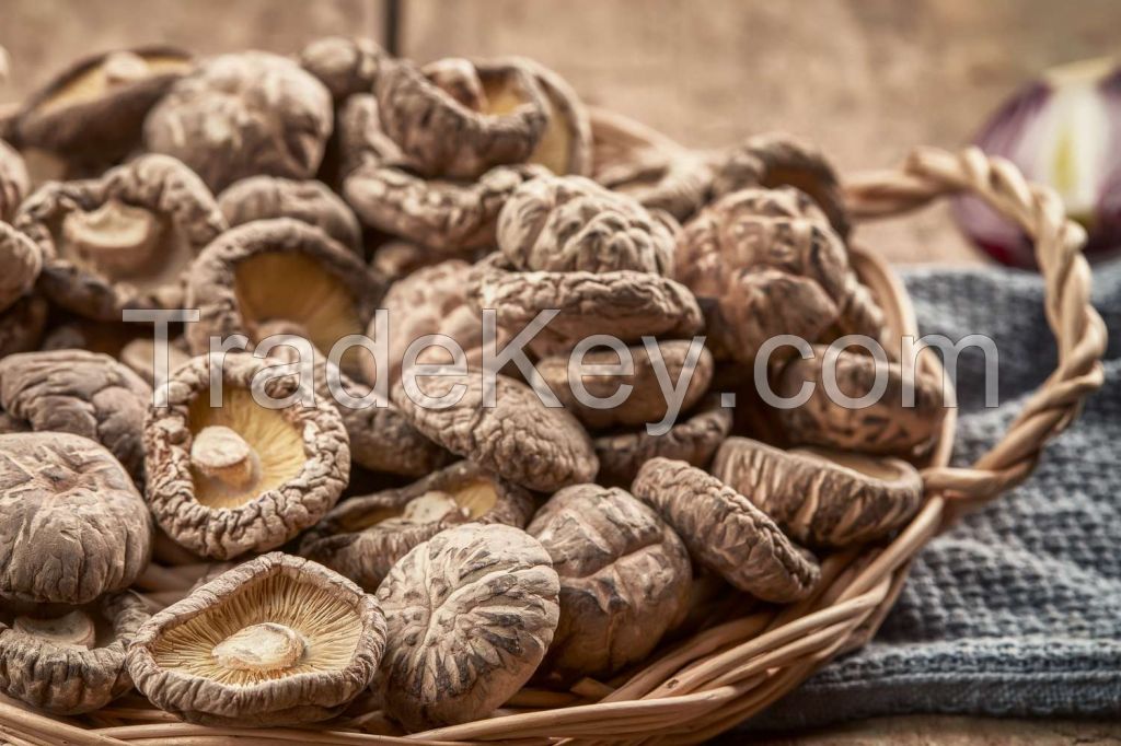 PREMIUM SHIITAKE SLICES / IMMUNE BOOST / CLEAN LABEL / WHOLE PLANT