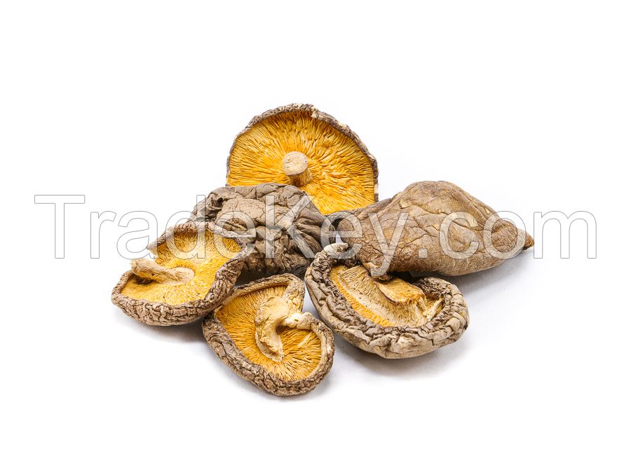 PREMIUM SHIITAKE SLICES / IMMUNE BOOST / CLEAN LABEL / WHOLE PLANT