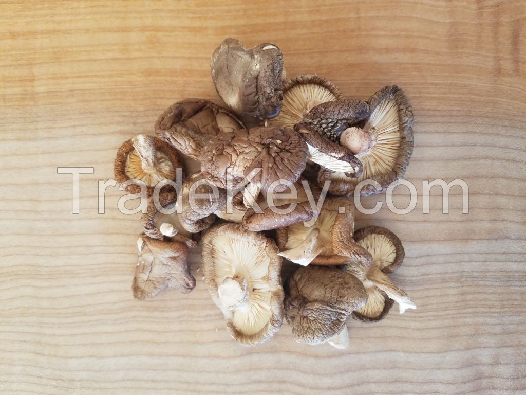 PREMIUM SHIITAKE SLICES / IMMUNE BOOST / CLEAN LABEL / WHOLE PLANT
