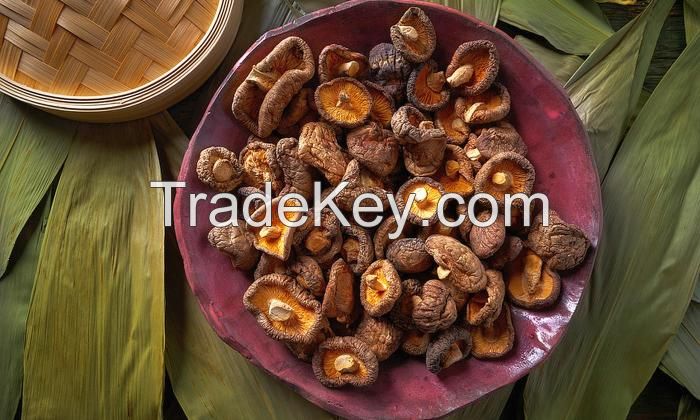 PREMIUM SHIITAKE SLICES / IMMUNE BOOST / CLEAN LABEL / WHOLE PLANT