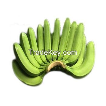 FRESH CAVENDISH BANANA / ENERGY BOOST / CLEAN LABEL / VEGAN FRIENDLY