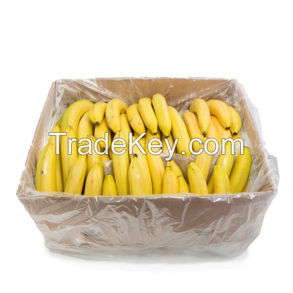 FRESH CAVENDISH BANANA / ENERGY BOOST / CLEAN LABEL / VEGAN FRIENDLY