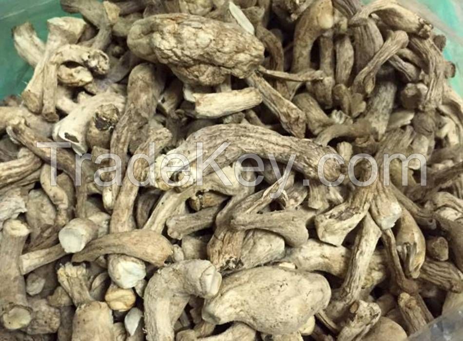 NATURAL SHIITAKE MUSHROOM STEMS / IMMUNE-BOOSTING GOODNESS