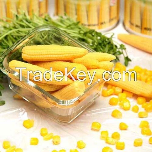 ORGANIC BABY CORN / ENERGY BOOST / CLEAN LABEL / PLANT-BASED