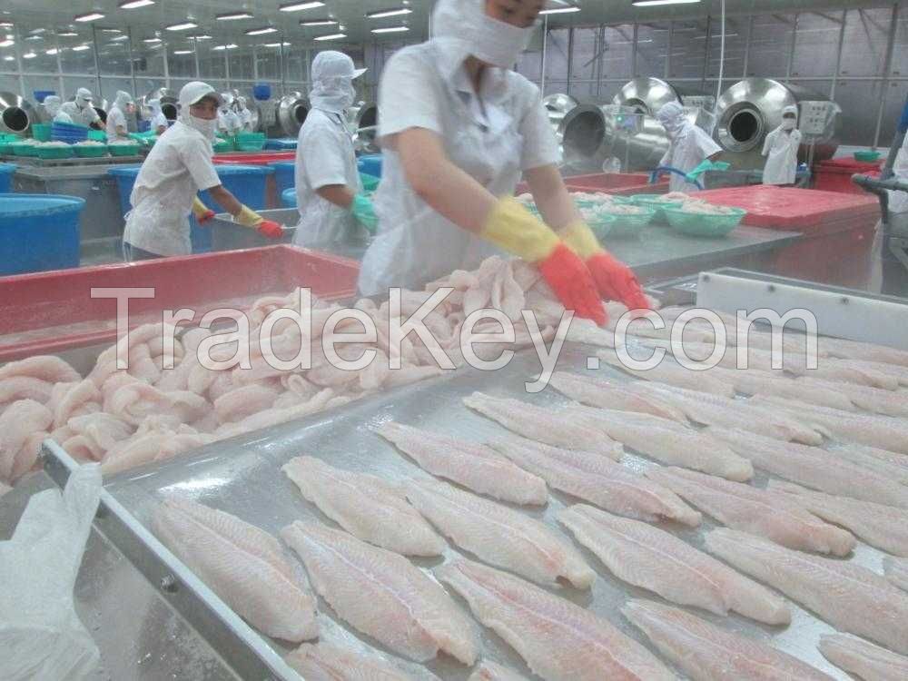 SUSTAINABLE PANGASIUS FILLET / MUSCLE RECOVERY / CLEAN LABEL / RESPONSIBLY FARMED