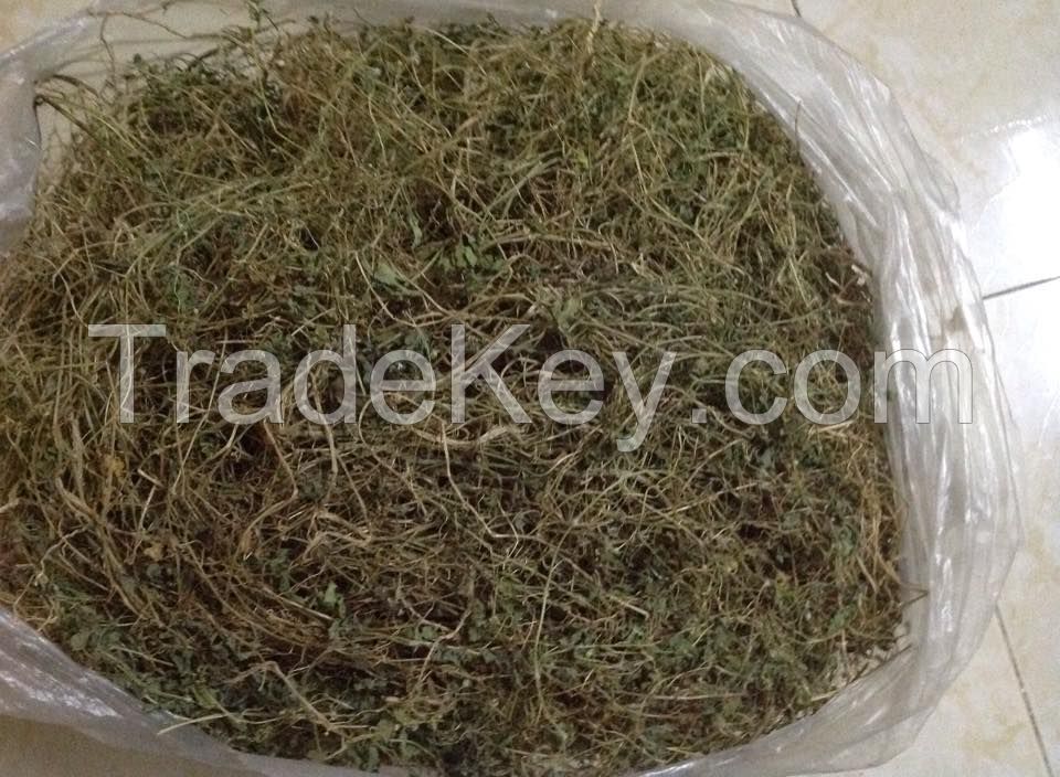 RAW BITTER MELON LEAF / BLOOD SUGAR BALANCE / CLEAN LABEL / PLANT-BASED