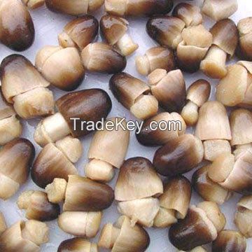 STRAW MUSHROOM WHOLE / CLEAN LABEL / PLANT-BASED INGREDIENT / NATURAL SOURCE