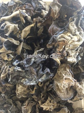SUN-DRIED WOOD EAR MUSHROOM / NO PRESERVATIVES / PLANT-BASED / NATURAL ORIGIN