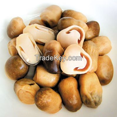 STRAW MUSHROOM WHOLE / CLEAN LABEL / PLANT-BASED INGREDIENT / NATURAL SOURCE