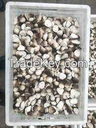 STRAW MUSHROOM WHOLE / CLEAN LABEL / PLANT-BASED INGREDIENT / NATURAL SOURCE