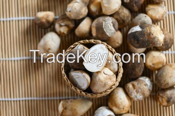 WHOLE STRAW MUSHROOMS / NO PRESERVATIVES / PLANT-DERIVED / SIMPLE INGREDIENTS