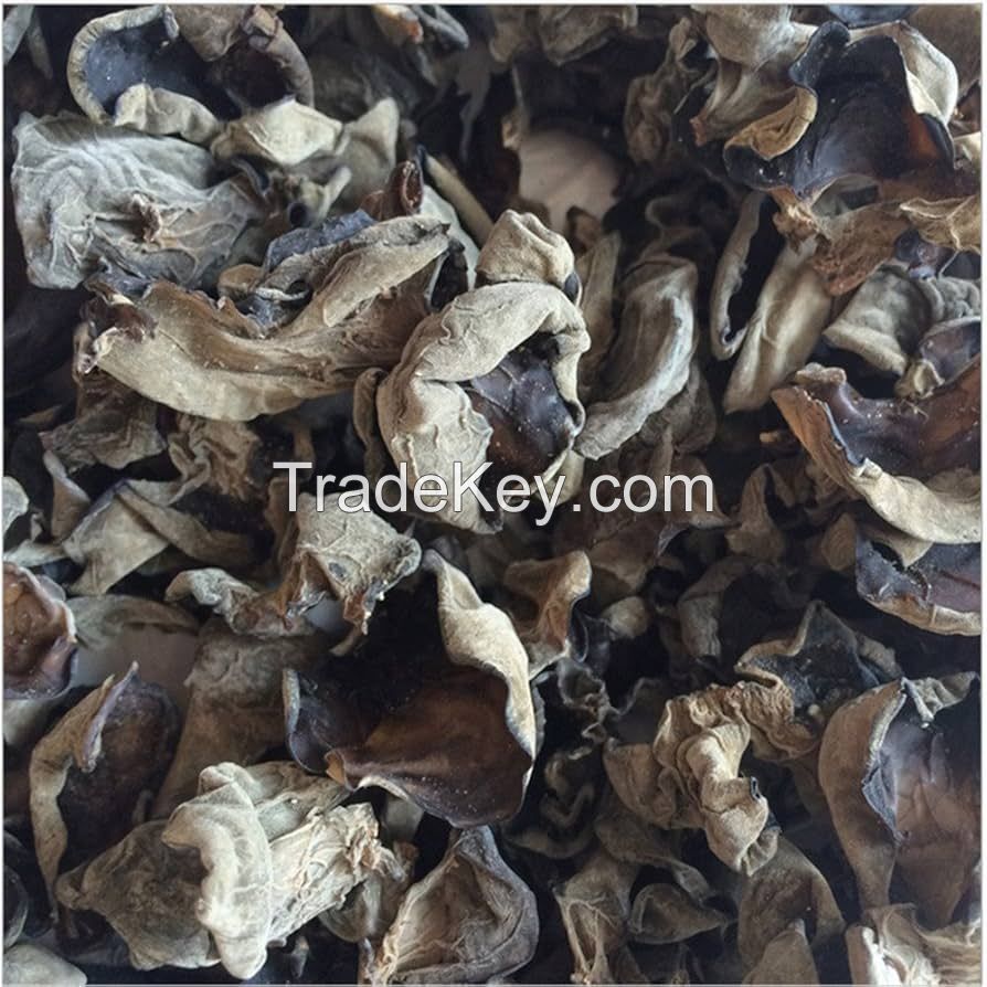 SUN-DRIED WOOD EAR MUSHROOM / NO PRESERVATIVES / PLANT-BASED / NATURAL ORIGIN